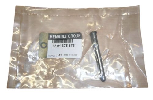 Eje de bisagra de puerta 7701675675 Renault Clio II Megane Original Nuevo