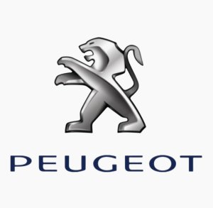 Luz trasera derecha 9820555280 Peugeot Partner III Original Nueva