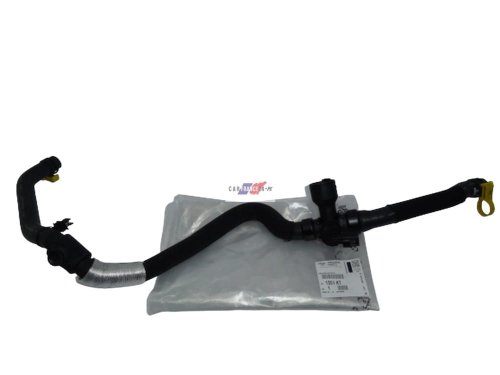 Cable de agua C5, C6, 407  2.7HDI Original 1351KT
