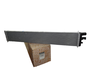 Radiador de aire 214C10001R  EGR Master 3, Movano