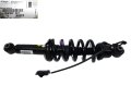 DSC00609-removebg-preview.jpg