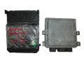 DSC00081-removebg-preview.jpg