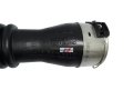 DSC00681-removebg-preview.jpg