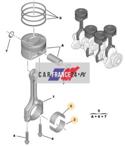 Cojinete del cigüeñal Peugeot Citroën 1.6  0606AF