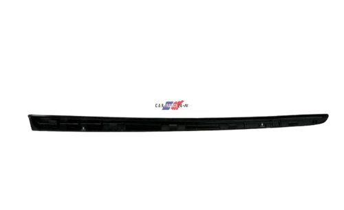 Moldura de la ventana derecha Citroën C5 III 8120Y8