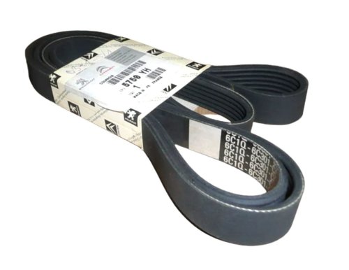 Correa de alternador 6PK1669  5750YH Nueva OE PSA