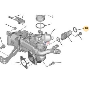Junta tórica del conducto EGR  1.6HDI 1606476880 Nueva OE PSA