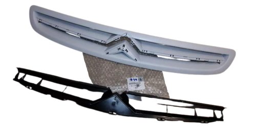 Parachoques decorativo 1611637980 Original Xsara Picasso