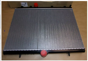 Radiador de agua 2,0 HDI 1691346680  Nuevo original Citroën Peugeot C4