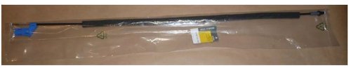 Cable de cierre 8200516256  Nuevo OE Renault Kangoo