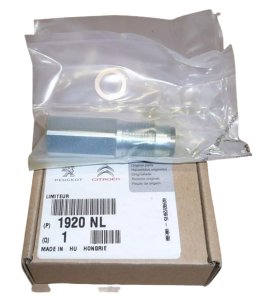 Sensor de presión de combustible  2.2HDI 1920NL Nuevo OE Citroën Peugeot Jumper III
