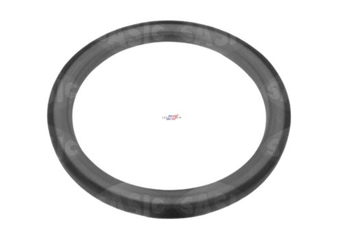 Anillo de sellado 1227900Q0D Nuevo OE Renault