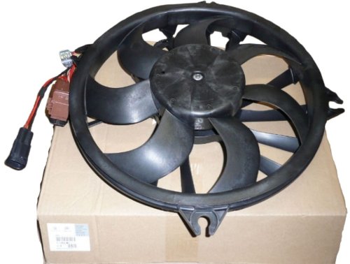 Ventilador del radiador C5,407 Original 1253N5