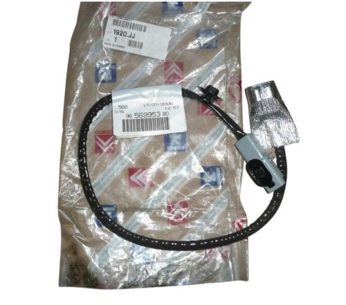 Cable del motor 1920JJ Peugeot 307 407 508 1.6HDI Original