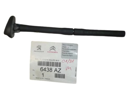 Boquilla del limpiaparabrisas delantero 6438AZ Citroën C3, DS3 Original