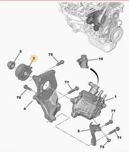 Piñón de distribución 1,4 1,6 E-HDI 193047 9683818280 Citroën Peugeot Ford Volvo