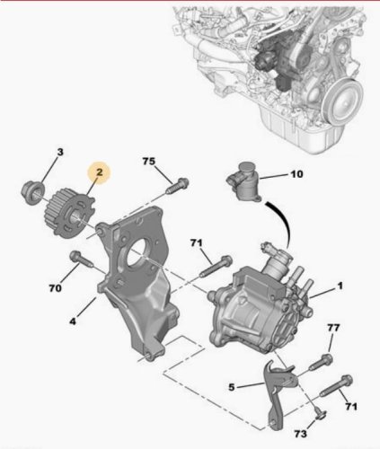 Piñón de distribución 1,4 1,6 E-HDI 193047 9683818280 Citroën Peugeot Ford Volvo