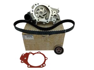 Distribución completa + bomba Original 119A03708R Clio 2 1.2D7F