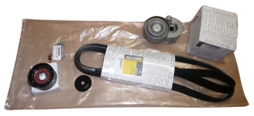 Juego de correas trapezoidales 117200713R Renault Laguna II 1.9DCI Original