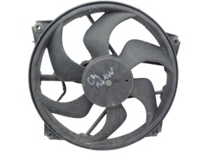 Ventilador del radiador  Peugeot Citroën 1253A9