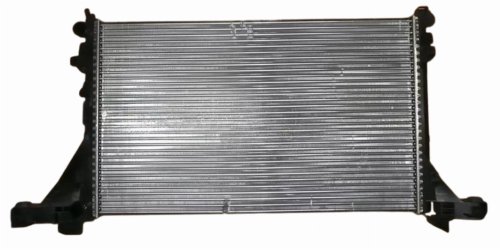 Radiador de agua 214101169R Renault Master III Original