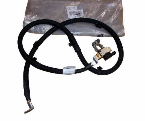 Pinza negativa 9802073680 Citroën C3 Picasso Original