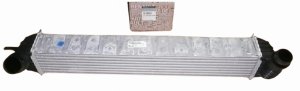 Radiador de aire 144610001N Renault Laguna III  Latitude 2.0DCI/1.5DCI  Original