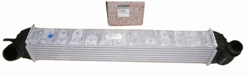 Radiador de aire 144610001N Renault Laguna III  Latitude 2.0DCI/1.5DCI  Original