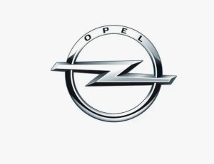 Amortiguador trasero 39056534 Opel Nuevo Original
