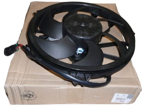 Ventilador del radiador C5, C6, C8, 407, 607 Original  1253K6