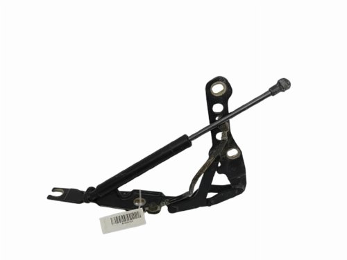 Bisagra de la tapa del motor izquierda 7028577 BMW