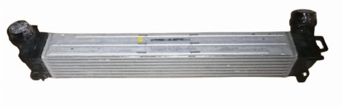 Radiador de aire 144968116R Renault Megane  III 1.9DCI Original Nuevo