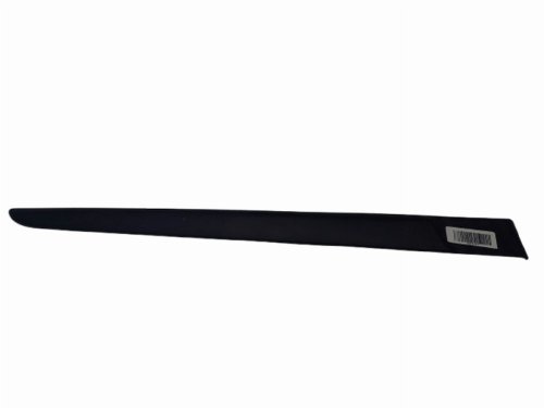 Moldura de puerta trasera derecha Renault Clio III Kombi 8200289924