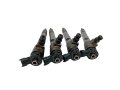 Wtrysk Paliwa Komplet 0445110800 166007427R Renault 1.5 Blue dci (6).jpg