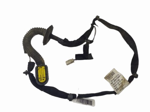 Instalación Puerta trasera izquierda Renault Clio III Kombi 8200715808 8200378842