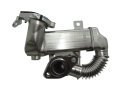 DSC00963-removebg-preview.jpg