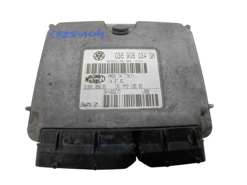 Controlador 036906034GM  61601.068.01  IAW4MV.GM  Volkswagen, Seat, Skoda