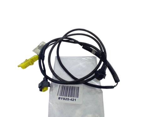 Mazo de cables halógenos 8200582325 Renault Scenic II