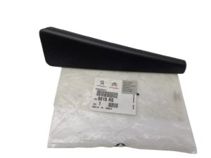 Cubierta de puerta trasera izquierda 9015R5 9015.R5 Peugeot 307 Original Nueva