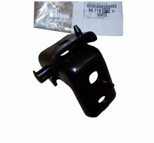 Bisagra de puerta 9671887080 Delantera derecha Citroën C3 III Original Nueva