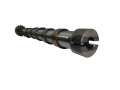DSC00799-removebg-preview.png