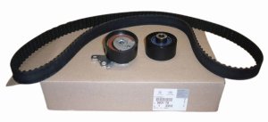 Distribución Kpl 0831.T0 0831T0 Citroën C5 Peugeot  406 2.0 16V HPI Original Nuevo