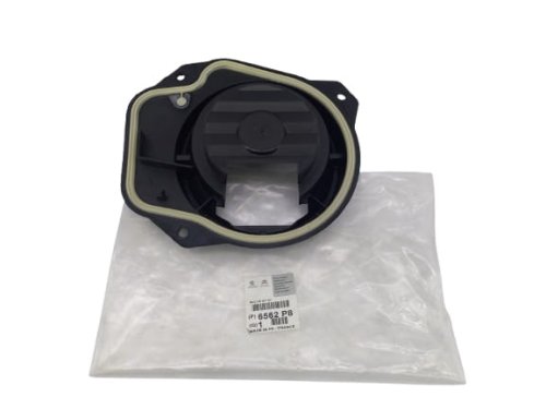Soporte del altavoz izquierdo 6562.P8 6562P8 Peugeot Expert III Original Nuevo