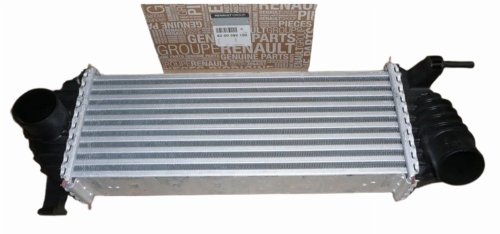 Radiador de aire 8200382109 Renault Kangoo II 1.5DCI Original Nuevo