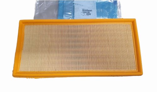 Filtro de aire 1444.A9 1444A9 Peugeot 406 806 807 2.0 HDI Original Nuevo