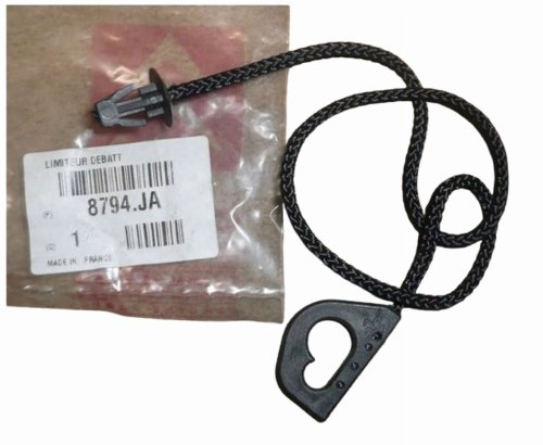 Cable para la bandeja trasera 8794JA 8794.JA Citroën C4 Original Nuevo