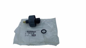 Sensor de presencia de agua en el combustible 191316 Citroën Peugeot 2.2HDI, 2.0HDI Original