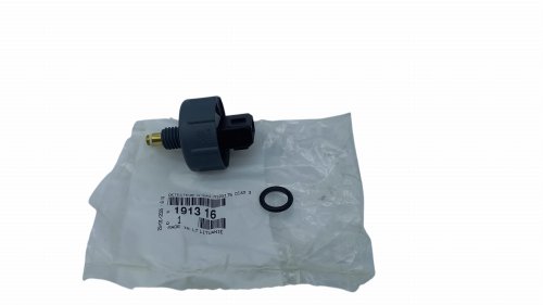 Sensor de presencia de agua en el combustible 191316 Citroën Peugeot 2.2HDI, 2.0HDI Original