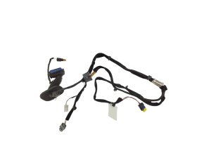 Mazo de cables de la puerta delantera izquierda 8200504955 Usado Original Renault Clio III