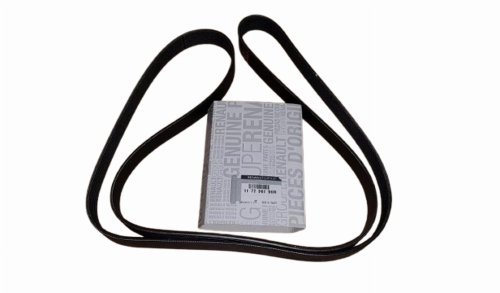 Correa trapezoidal 117206190R 7PK1792 Renault 1.9/2.2/2.5DCI/2.0 Original Nueva